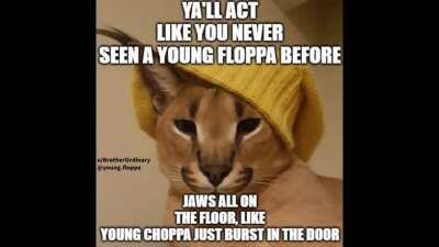 you seemed to like my last one