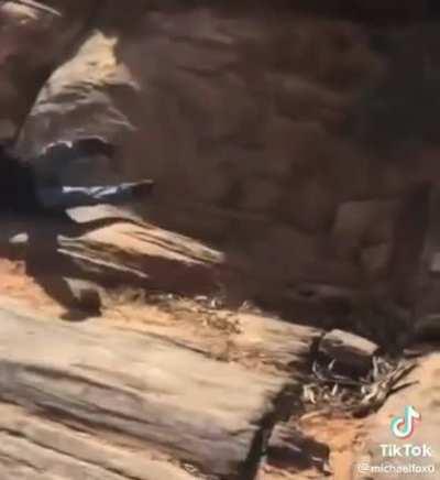 Idiot in car or idiot out of car?