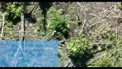 RU pov: Footage of the defeat of a Ukrainian armoured attack in the Bakhmut direction. Multiple actively fighting armoured vehicles are hit by ATGMs and artillery fire. KIA/WIA Ukrainian soldiers are also seen.