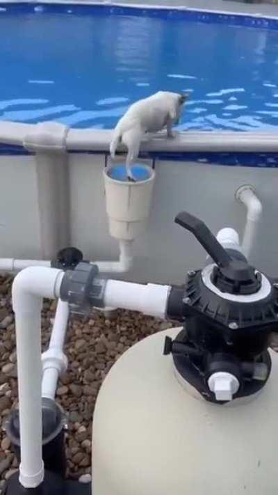 There was an attempt