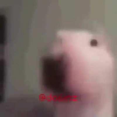 The alpha raptor after chasing me into a dead end: