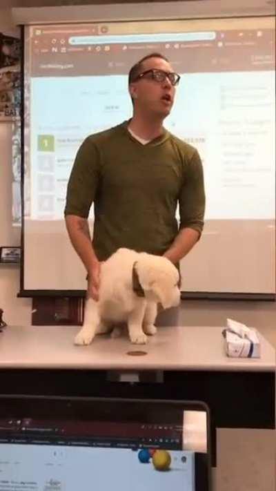 do the bucking bow cap 