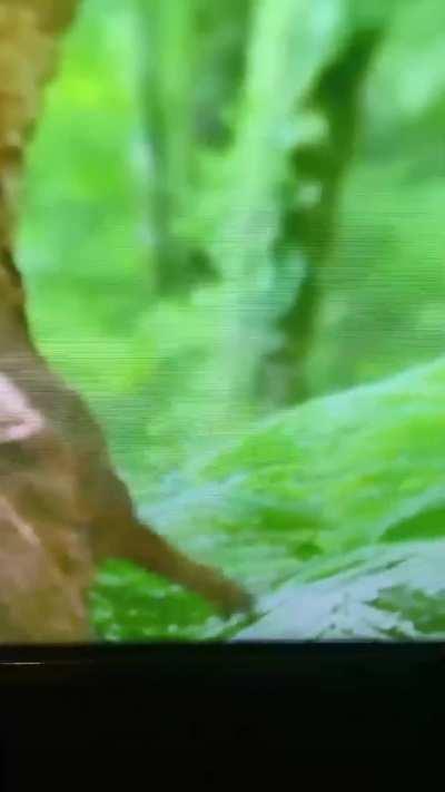 Lmfaoooo🤣. What was Apple TV thinking?🤣🤣🤣🤣