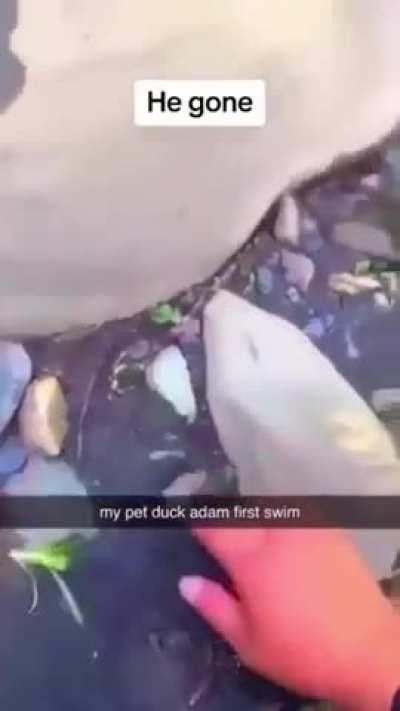 Adam