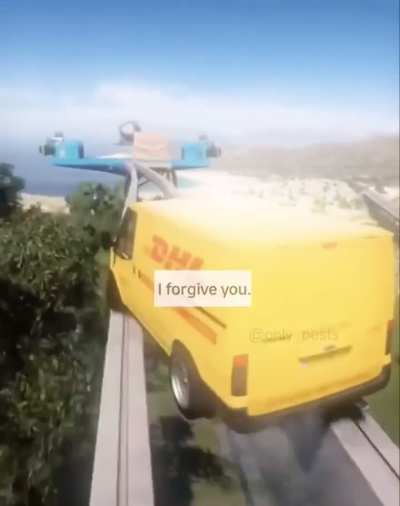 DHL giving that express customer service 📦