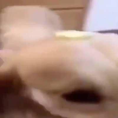 A finely buttered gentleman