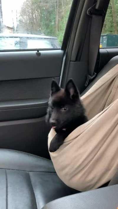 This is what the best navigator looks like