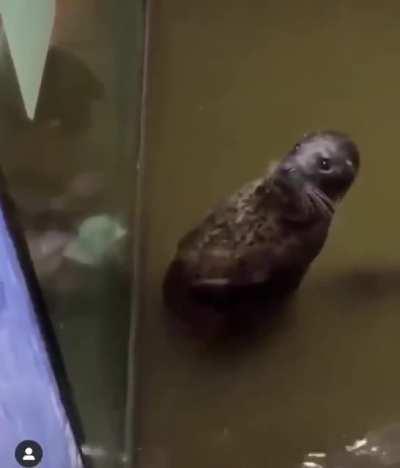 Плотно покушал