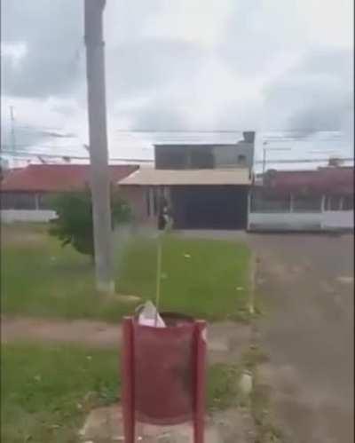 Dorime jaá era rpz 🐁🎆