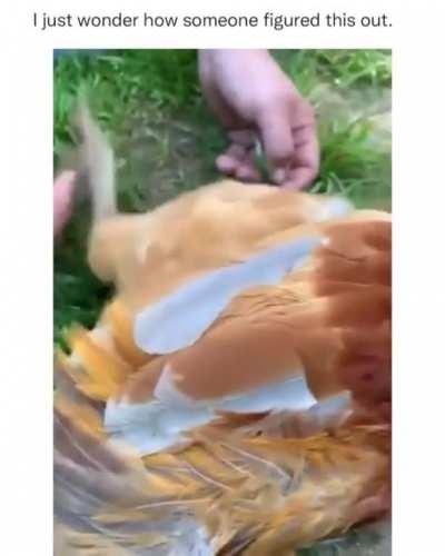 Hypnotized or Paralyzed you guess it