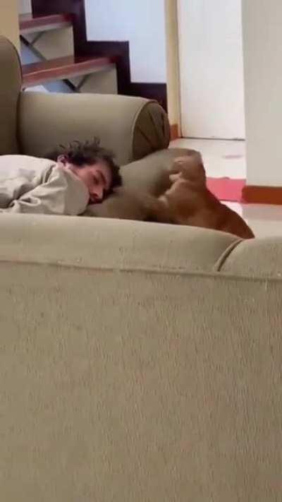 Lesson 1. If a target is larger than you attack while they sleep