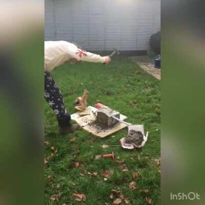 The face at the end tells it all