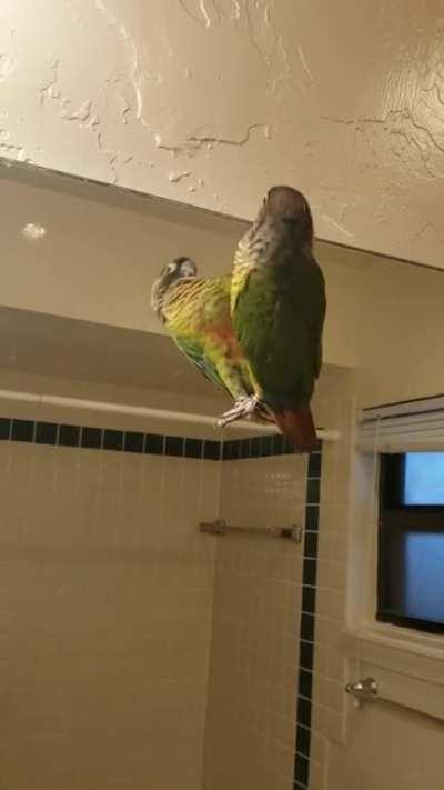 One of his favorite pass times.