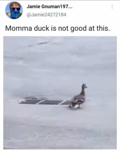 Setting up ducklings for failure