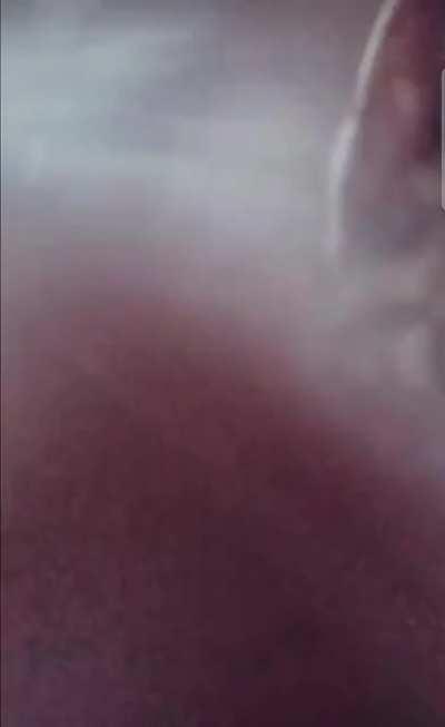 Smol criminal don't want to be caught on tape