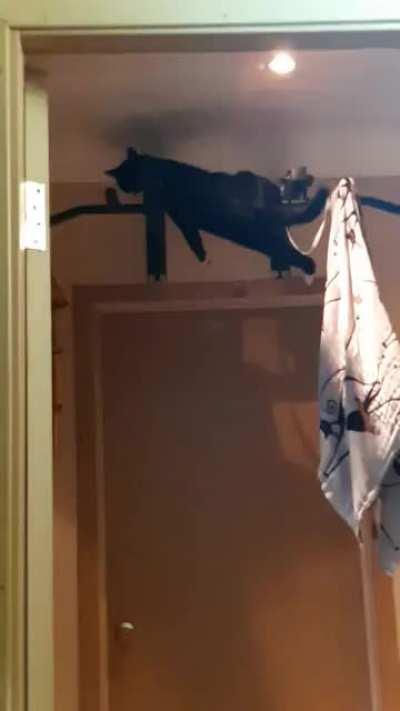 (OC) Some more of flying sausage