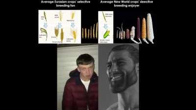 One of the most (if not the most) iconic precedents of modern genetic modifications