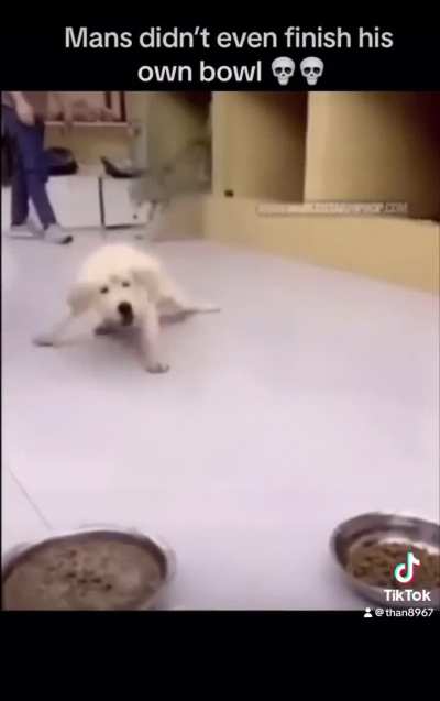 This post won’t get the same number of likes and comments 