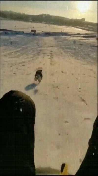 Try to catch me if you can, hooman