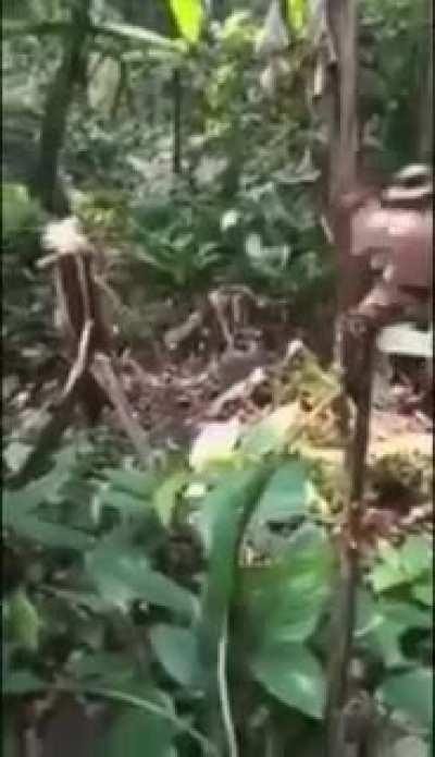 Odun kestiğin zaman exp mi veriyordu amk