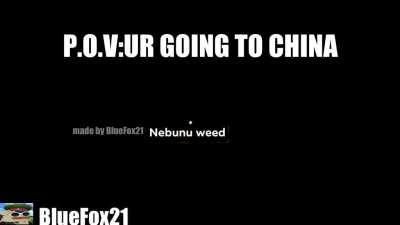 nebunu weed fura social credit (bad ending) : vine si good endingu dar mai incolo