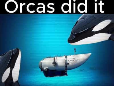 I have no proof of this claim...