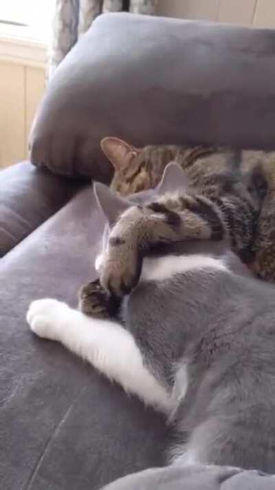 The best cuddles are with the one you love ❤️