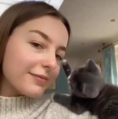 Smol cat petting his Hooman!