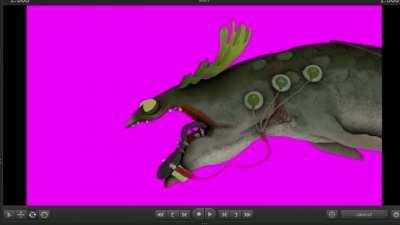 I got a little distracted while making a vid.