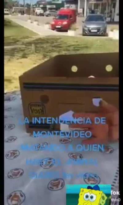 Intendencia de Montevideo decomisa alimentos que se venden en la vía pública sin permiso