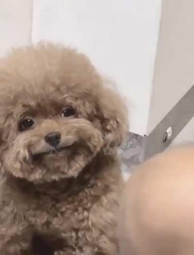 Let me know the first thing that comes to your mind when you watch this video