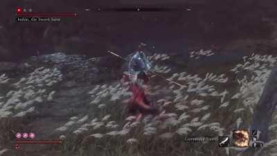 r/HitBoxPorn vs Isshin, the Sword Saint