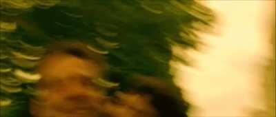 Small pleasures of Amelie