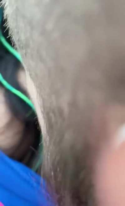 Al rico helado, Alexis mucci