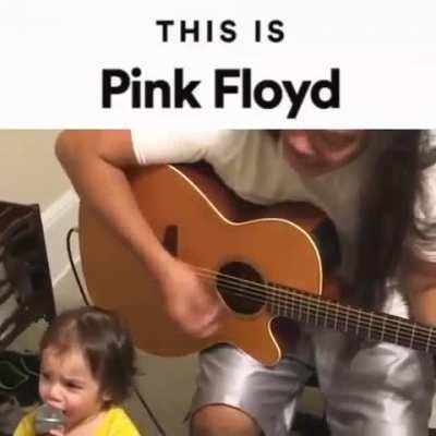 idk, a pf meme that i found in ig