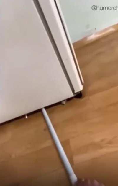 Just cleaning under the fridge