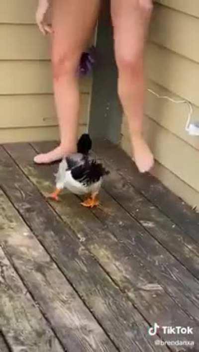 OMG its duckkkk