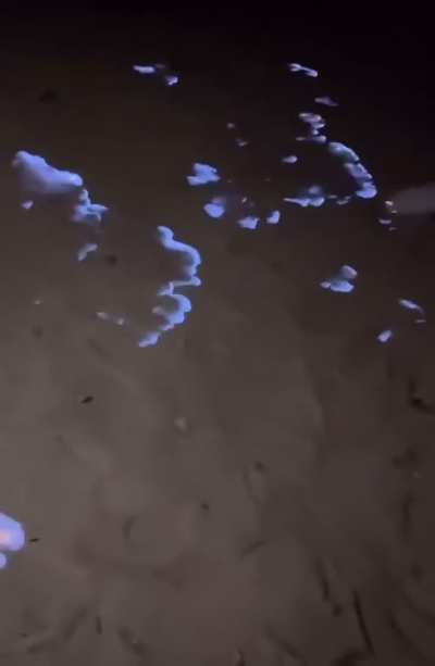 Blue Methane Flames From Long-Term Natural Gas Leak in Haripur, Bangladesh