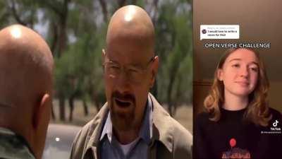 Mike & Walt spit some bars