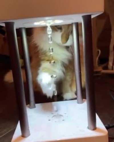 Why water not fall down right?