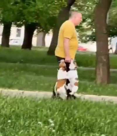 Just a normal day heading home from the park...