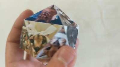 floppa icosahedron irl