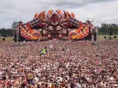 these Dutch fans man