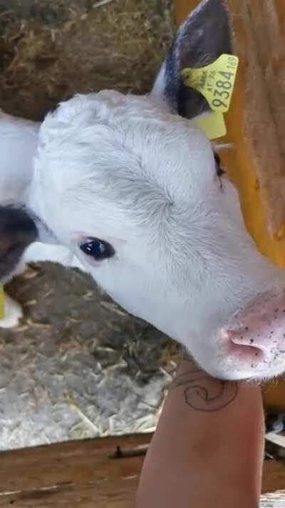 Such a cute baby! 🥰 pls ignore my comments :D