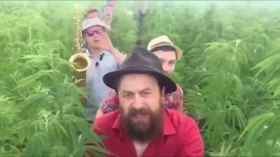 Something from another land