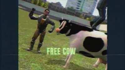 FREE COW AAAw
