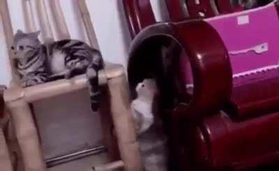 Touched by a spooky ghos