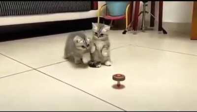 To touch a spinning top