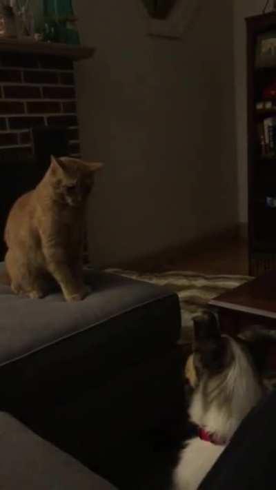 “I run shit here, you just live here”