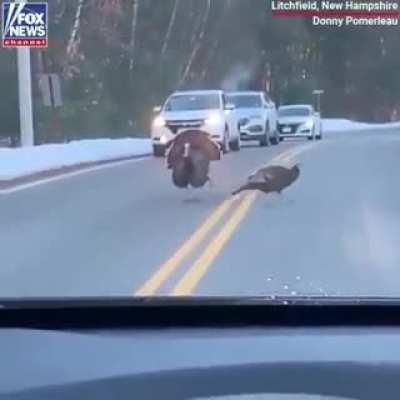 Turkey takes safety very seriously